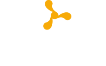 The Partnering Initiative
